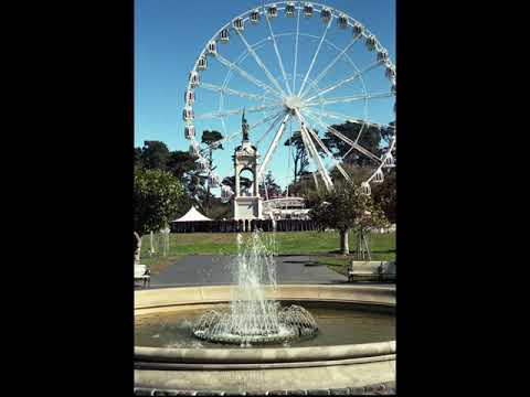 Film Photography Showcase: Yashica Electro 35 GSN