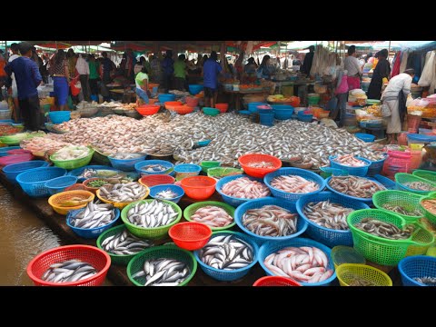 Cambodia Uncovered, Vibrant Street Food, Bustling Fish Market & Epic Tiny Fish Harvests!