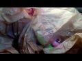 What S In The Goodwill Bag Season 7
