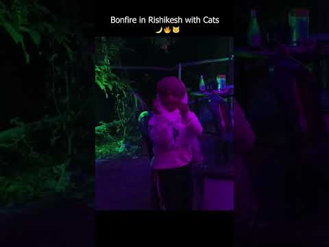 Bonfire in Rishikesh with Cats 🌙 🔥 🐱