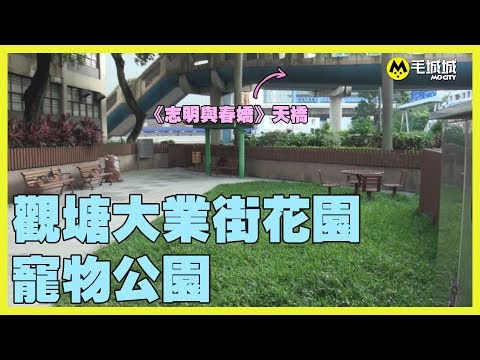 【十八區狗公園】觀塘大業街花園寵物公園