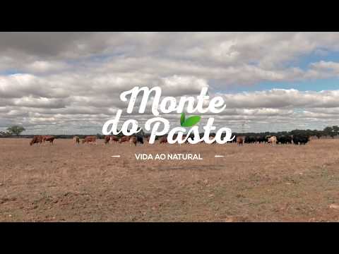 Monte do Pasto – Vida ao Natural