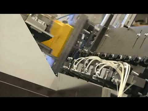 BIBRA - Strip-feed-press