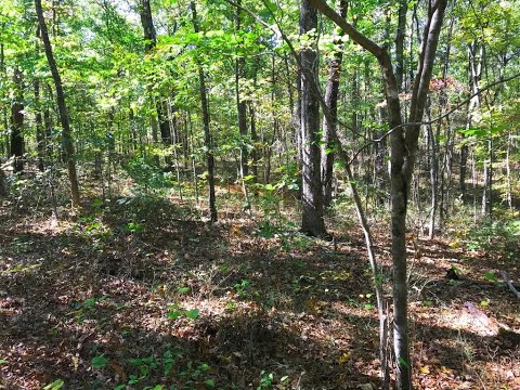 Turkey Court, Waco, GA, 30182 Tour - $10,000