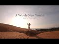 A Whole New World Cover By Tram Flute Aladdin OST 2019 Audio High Quality