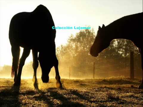 Antonio Tormo   Caballo viejo   Colección Lujomar