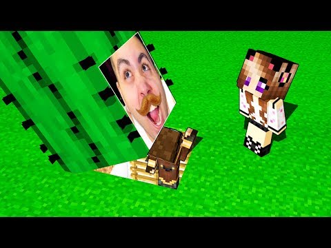 IL PASSAGGIO SEGRETO DI LYON SU MINECRAFT!