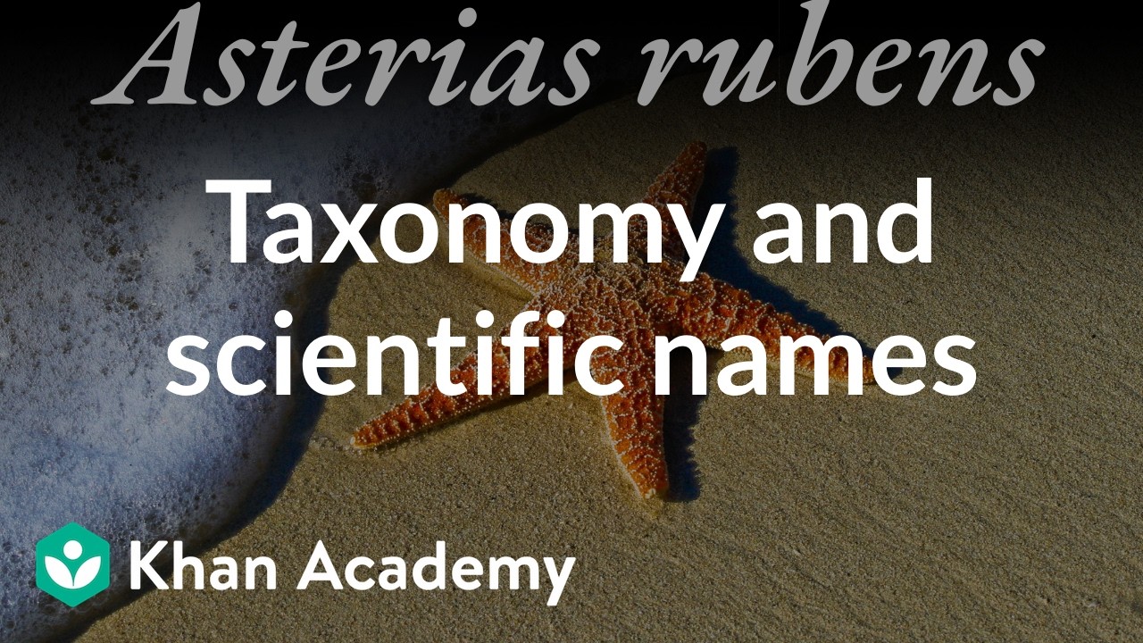 Taxonomy and scientific names | Middle school biology | Khan Academy