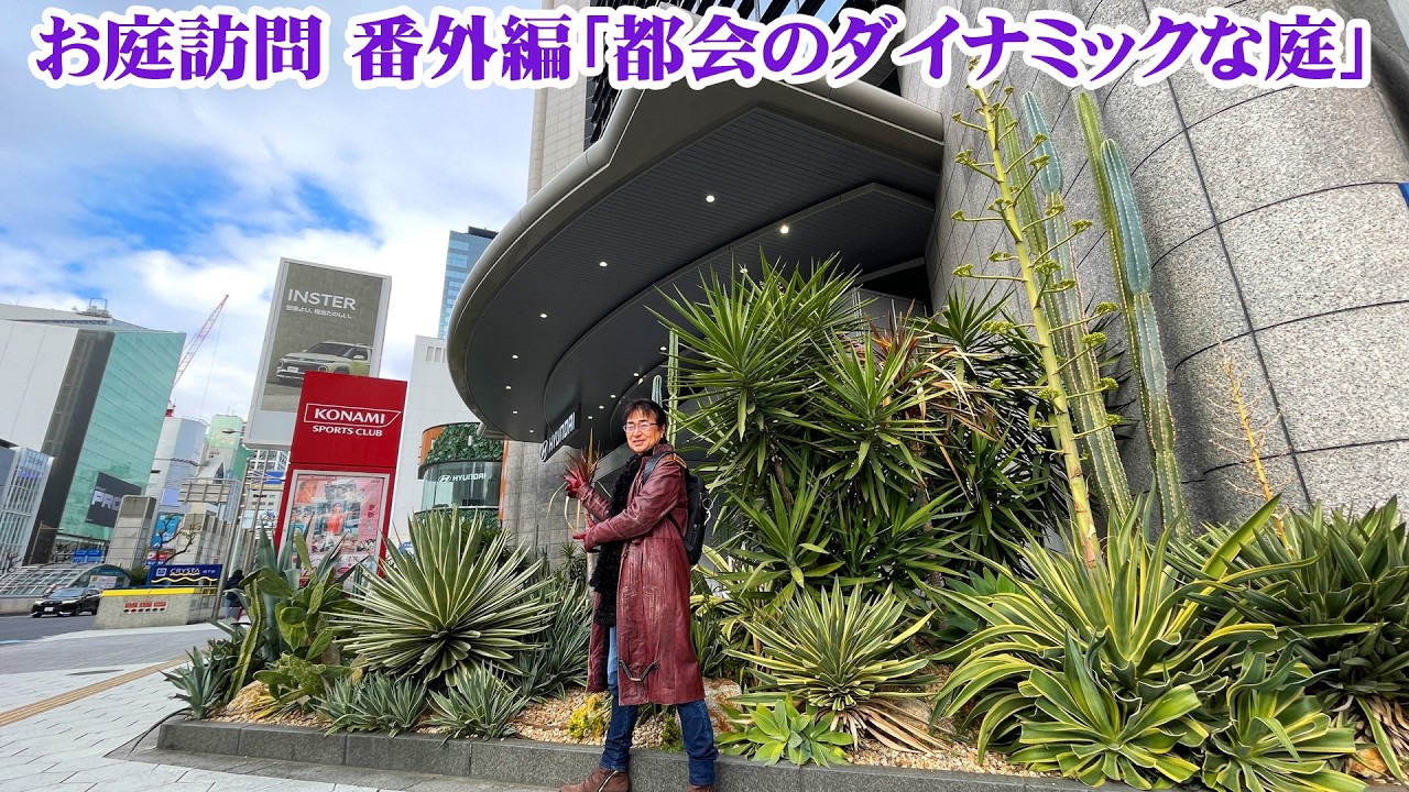 【お庭訪問】第87回 都会を歩けば庭のヒントがたくさん！狭小ガーデンからダイナミックな植栽まで参考にしよう【園芸研究家 富山昌克】