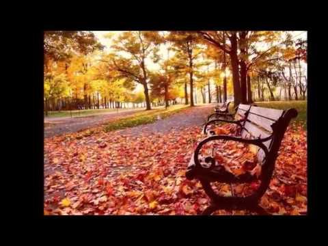 Ngẫu hứng buồn - Hoàng Hoa