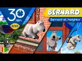 Bernard Bear Bernard At Heights Special Collection 02 30 Minutes
