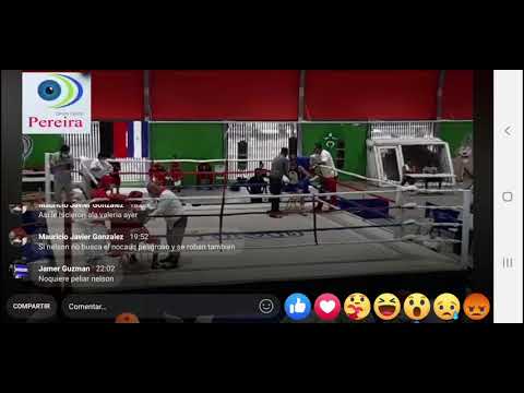 Nelson Guerrero vs josue hernandez