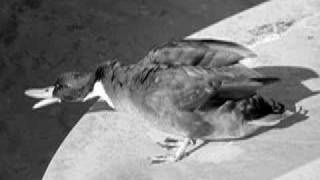 The Lonely Land by A.J.M. Smith