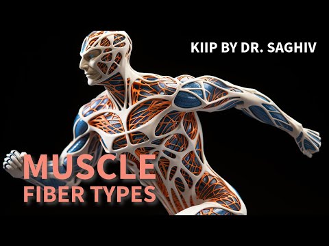 Intro to Muscle Fiber Types - KIIp by Dr. Saghiv