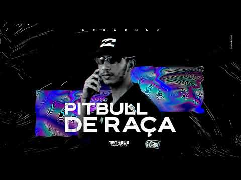 MEGA - PITBULL DE RAÇA ( MATHEUS FONCECA)