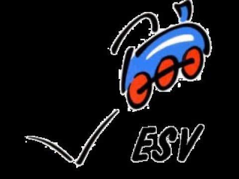 ESV Weil - Damen 2024/2025