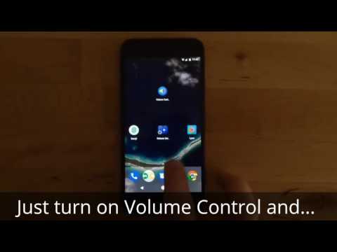 Volume Control for Assistant Video