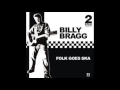 Billy Bragg - Hoodoo Voodoo Ska (Live)