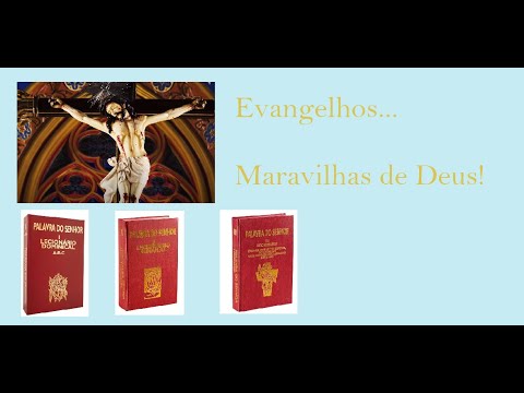 Evangelho do dia 06/11/2020