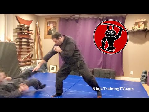 Hoko no Kamae, Moto Gata, Koto Ryu Koppojutsu