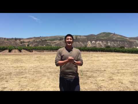 The Santa Rosa Road in Santa Barbara County