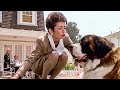 This Dog Is Way Smarter Than This Hooman Beethoven CLIP
