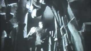 Boardwalk to the Alps