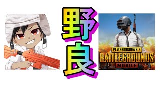 【ＰＵＢＧモバイル】野良で素敵な出会いを求めて
