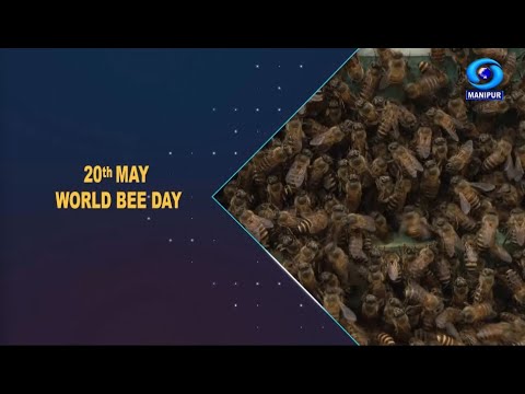 Agriculture Programme | 20th May World Bee Day