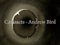 Cataracts - Andrew Bird