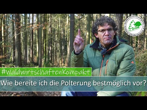 Wie bereite ich die Polterung bestmöglich vor? | Tipps und Strategien für erfolgreichen Holzverkauf