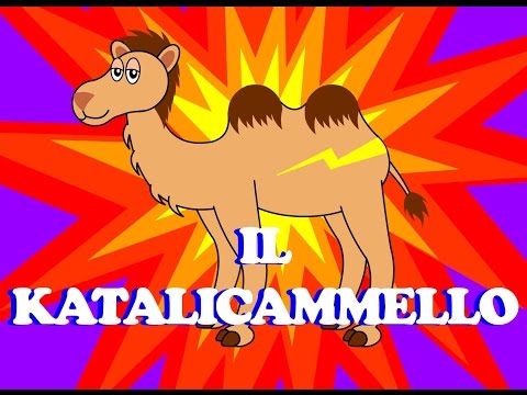 Il Katalicammello