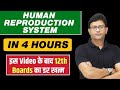 HUMAN REPRODUCTION SYSTEM in 4 Hours | BEST for Class 12 Boards
