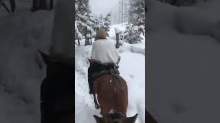 #feelsnow #snowfall #snowman #snowcappedmountains #kashmir #gulmarg #horseriding #kashmirsnow