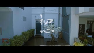 《初心》André & his olive tree正式預告｜8/21全台上映