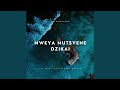 Mweya Mutsvene Dzikai Let What Was Stolen Return