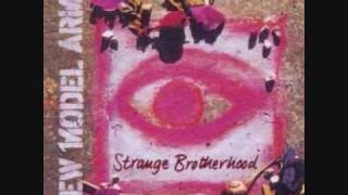 New Model Army - Aimless desire (1998)