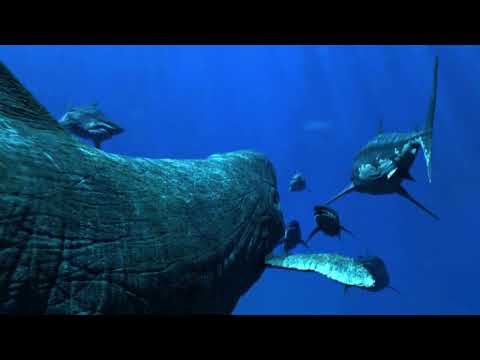 TRAILER 🦈 Let's go to Shark World 🌍 @Gamegame-rj8wf #travel #trailer #hungrysharkworld