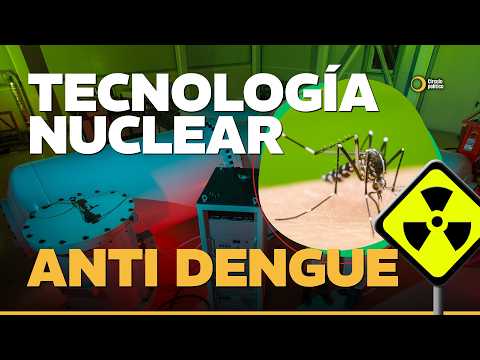 DENGUE: Mendoza usará TECNOLOGÍA nuclear contra el mosquito
