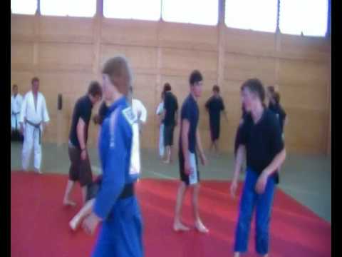 E-Werk Wels AG Judo Sabrina Filzmoser 4