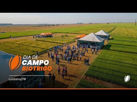 Dia de Campo 2023 | Biotrigo Genética | Luiziana/PR