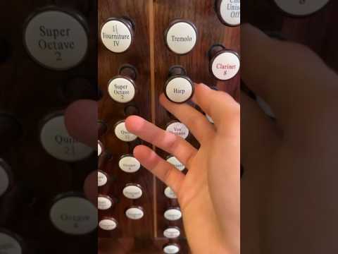 It‘s me, Davy Jones! 🏴‍☠️