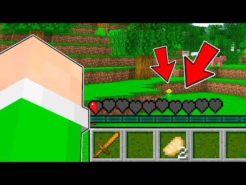 se prendo danno, il video finisce! - minecraft ita