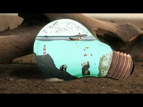 Neutral Point - White Beach