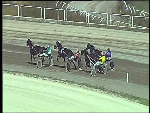 Trotto 27/09/2015 - 2° prova di qualifica