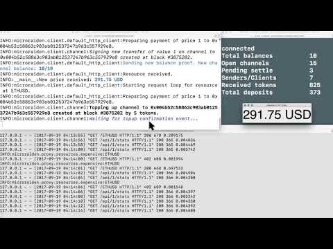 µRaiden - IoT Video Demo