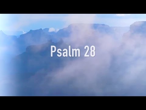 Cover image for YouTube video Shepherd