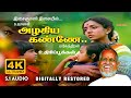 Azhagiya Kanne 4K Video Song Digitally Restored Uthiripookkal Ilayaraja 4K Cinemas