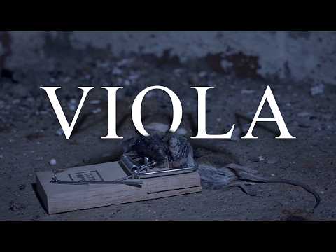 Viola | Short Film