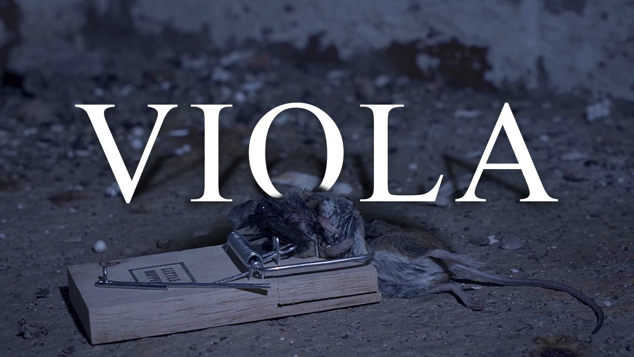 Viola | Short Film